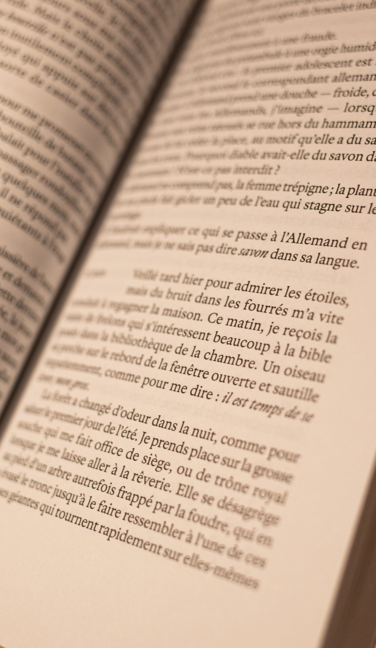 Passer janvier. Édition originale – Image 2